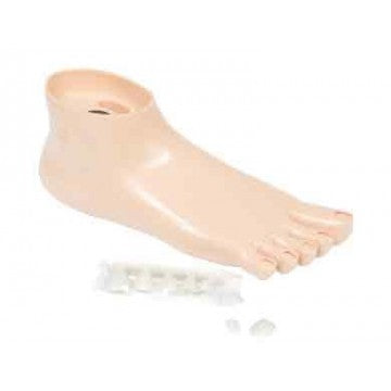 [YC872641] Pied Training Pedicurie Avec Faux Ongles