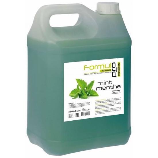 [YC181707] Shampooing  Formul Pro Technibase - Menthe 5L