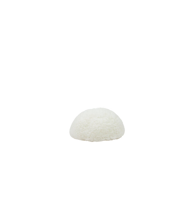 [3560201] Eponges Konjac Ø60mm (SECHE)