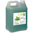 Shampooing  Formul Pro Technibase - Menthe 5L